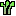 Wasabi Plant Starts
